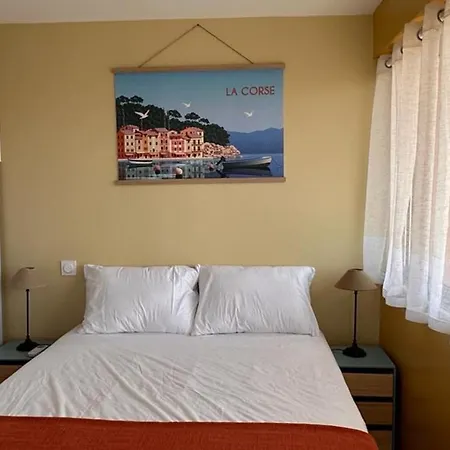 Apartment 35M2 Sea View With Terrace Beach By Walk *